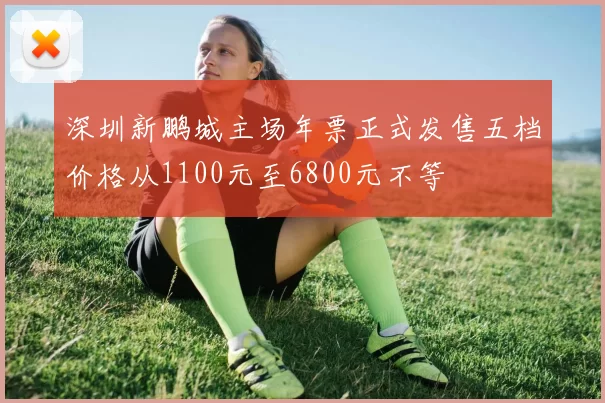 深圳新鹏城主场年票正式发售五档价格从1100元至6800元不等